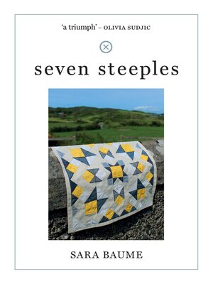 cover image of seven steeples